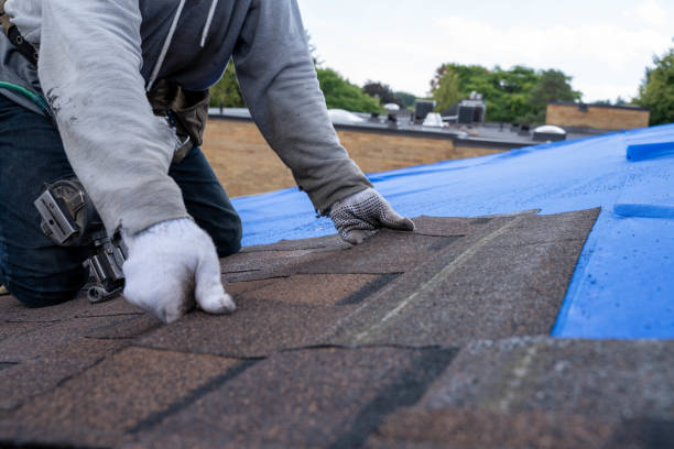 Fast & Reliable Emergency Roof Repairs in Sparta, IL