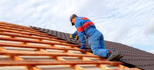Best Metal Roofing Installation  in Sparta, IL