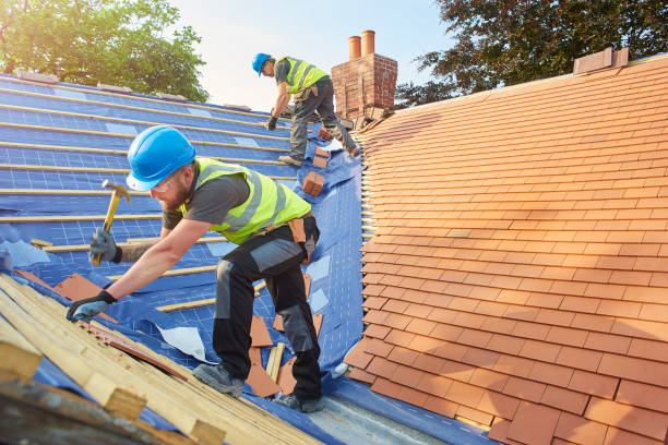 Best Solar Panel Roofing Installation  in Sparta, IL